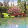 Jumbo - 18571 - Colourful Garden - 1000 Piece Panoramic