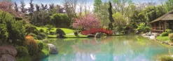 Jumbo - 18571 - Colourful Garden - 1000 Piece Panoramic