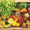 Jumbo - 18531 - Fruit and Vegetable Box - 500 Piece
