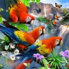 Kidicraft - 22517 - Flight of the Macaws (Howard Robinson) - 1000 Piece
