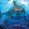 Kidicraft - 13582 - Great White Shark (Howard Robinson) - 63 Piece 3D Puzzle