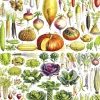 New York Puzzle Company - PD635 - Vegetables - 1000 Piece