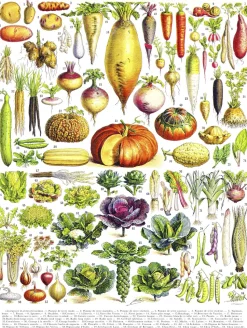 New York Puzzle Company - PD635 - Vegetables - 1000 Piece