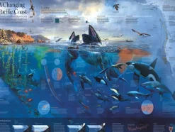 New York Puzzle Company - NPZNG1978 - Pacific Coast - 1000 Piece