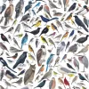 New York Puzzle Company - NPZCB1837 - Birds of Western North America - 1000 Piece