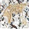 New York Puzzle Company - NPZNG1830 - Eastern Bird Migration - 1000 Piece