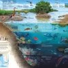 New York Puzzle Company - NPZNG1979 - Layers of Life - 1000 Piece