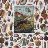 New York Puzzle Company - NPZPD1711 - Mollusks - 1000 Piece