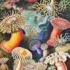 New York Puzzle Company - NPZPD1921 - Sea Anemones - 1000 Piece