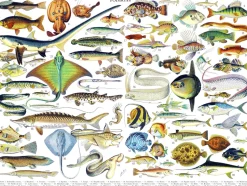 New York Puzzle Company - PD636 - Fish - 1000 Piece