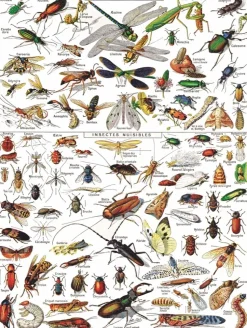New York Puzzle Company - NPZPD1832 - Insects - 1000 Piece