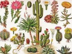 New York Puzzle Company - NPZPD1833 - Cactus - 1000 Piece