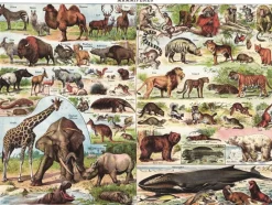 New York Puzzle Company - NPZPD1834 - Mammals - 1000 Piece