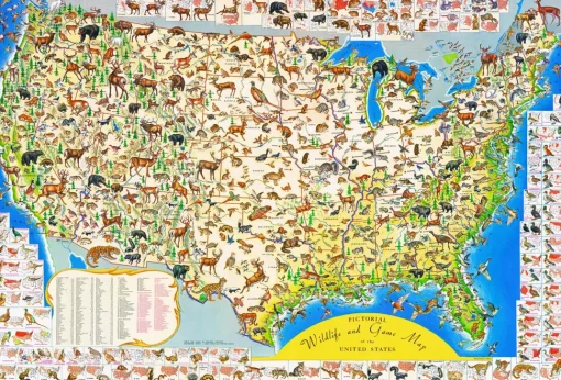 New York Puzzle Company - PD632 - Pictorial Wildlife and Game Map of the United States - 2000 Piece