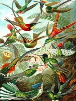 New York Puzzle Company -PD626 - Hummingbirds - 1000 Piece