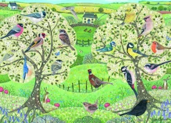 Otter House - 76733 - Beautiful Birds (Anne Mortimer) - 1000 Piece