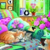 Otter House - 76726 - Cat Naps (Claire Comerford) - 500 XL Piece