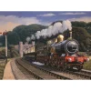 Otter House - 75091 - Making Steam (Stuart Booth) - 1000 Piece