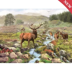 Otter House - 74136 - National Park - 1000 Piece