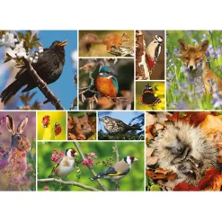 Otter House - 75085 - RSPB - Great British Wildlife - 1000 Piece