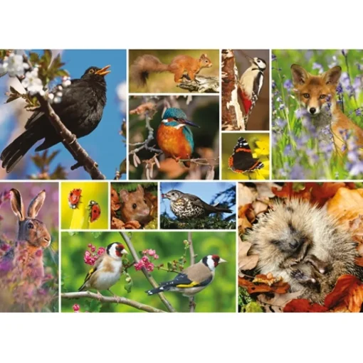 Otter House - 75085 - RSPB - Great British Wildlife - 1000 Piece