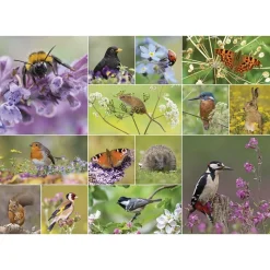 Otter House - 76391 - RSPB Wildlife Wonder - 1000 Piece