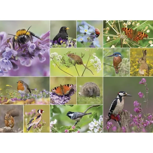 Otter House - 76391 - RSPB Wildlife Wonder - 1000 Piece