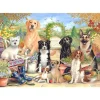 Otter House - 74827 - Waiting for Walkies (Claire Comerford) - 500 Piece