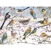 Otter House - 76394 - Winter Birds (Pollyanna Pickering) - 1000 Piece
