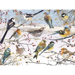 Otter House - 76394 - Winter Birds (Pollyanna Pickering) - 1000 Piece
