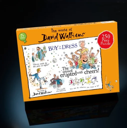 Paul Lamond - 6385 - The World of David Walliams - The Boy in the Dress - 250 Piece