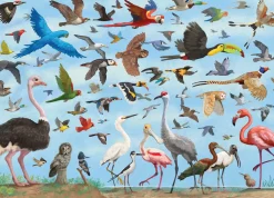 Peter Pauper - 4934 - All the Birds (David Opie) - 1000 Piece