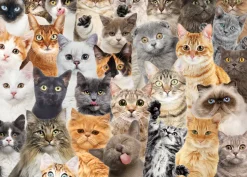 Peter Pauper - 337542 - All the Cats - 500 Piece
