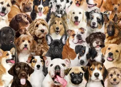 Peter Pauper - 3919 - All the Dogs - 1000 Piece