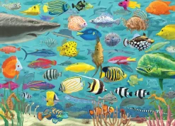 Peter Pauper - 336903 - All the Fish (David Opie) - 1000 Piece
