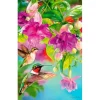 Piatnik - 546747 - Hummingbirds - 1000 Piece