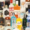 Piatnik - 549441 - Taste of Gin - 1000 Piece