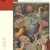 Pomegranate - AA993 - Sea Anemones (Ernst Haeckel) - 500 Piece