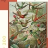 Pomegranate - JK053 - Hummingbirds (Ernst Haeckel) - 300 Piece