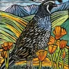 Pomegranate - JP008 - California Quail (Molly Hashimoto) - 500 Piece