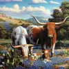 Ravensburger - 1200 0826 - Loving Longhorns (R.W.Hedge) - 500 Piece