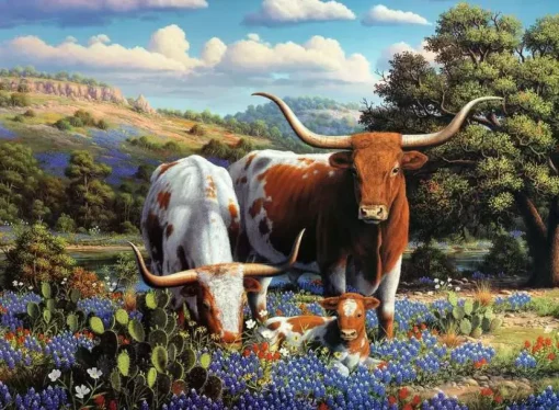 Ravensburger - 1200 0826 - Loving Longhorns (R.W.Hedge) - 500 Piece