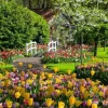 Ravensburger - 1200 0851 - Keukenhof Gardens Netherlands - 1000 Piece