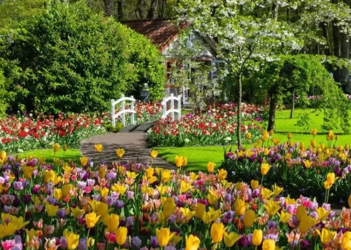 Ravensburger - 1200 0851 - Keukenhof Gardens Netherlands - 1000 Piece