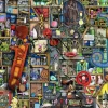 Ravensburger - 1200 0172 - Awesome alphabet I & J (Colin Thompson) - 1000 Piece
