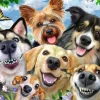 Ravensburger - 1200 0532 - Selfies Dogs` Delight (Howard Robinson) - 500 Piece