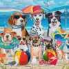 Ravensburger - 05732 - Beach Buddies (William Vanderdasson) - 35 Piece