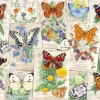Ravensburger - 15261 - Butterfly Splendour (Anne searle) - 1000 Piece