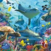 Ravensburger - 17550 - Coral Retreat (David Penfound) - 1000 Piece
