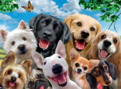 Ravensburger - 13228 - Delighted Dogs (Howard Robinson) - 300 XXL Piece
